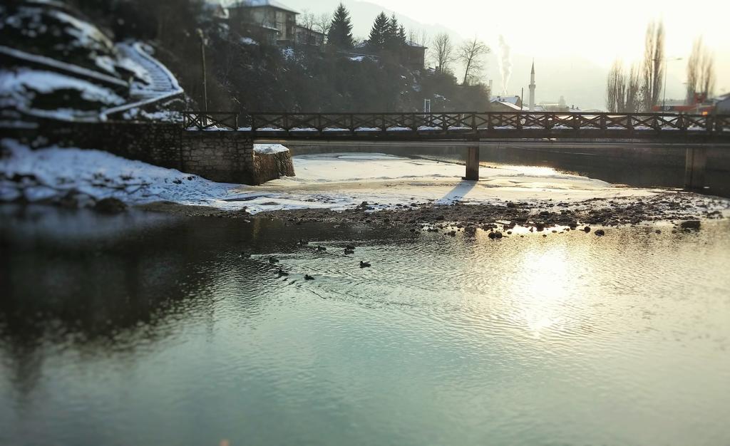 Pansion River SJJ Værelse billede